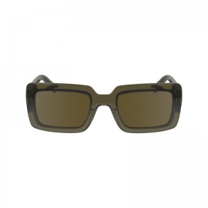 Longchamp Sunglasses Khaki | 5637294-CN