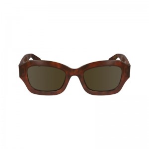 Longchamp Sunglasses Marroni | 7216538-KS